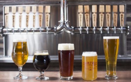 Brew Hop STL Launches in St. Louis This Weekend, Offering Educational Brewery Tours and, Yes, Beer